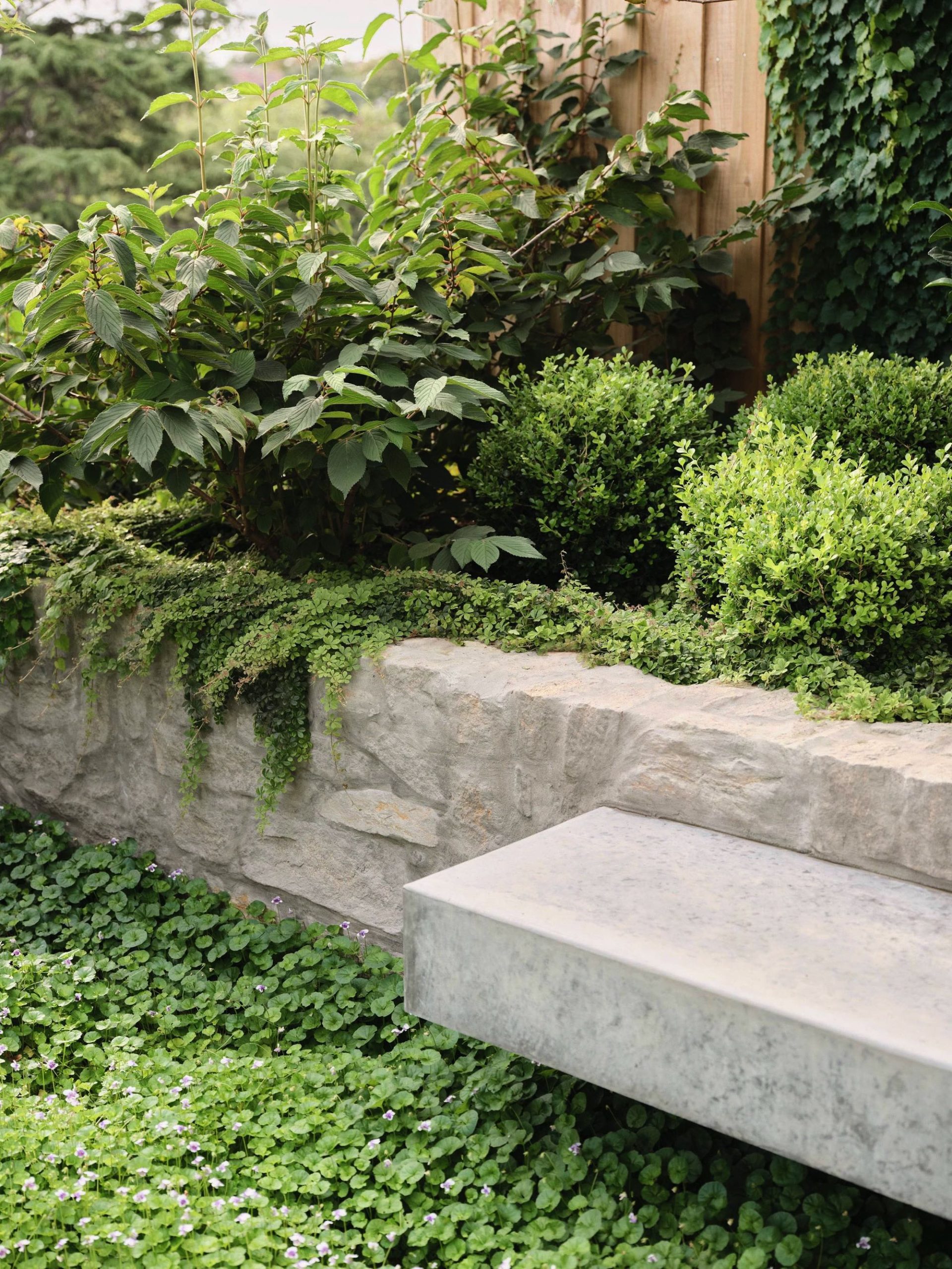 250328_MylesBaldwin_Fairview_082