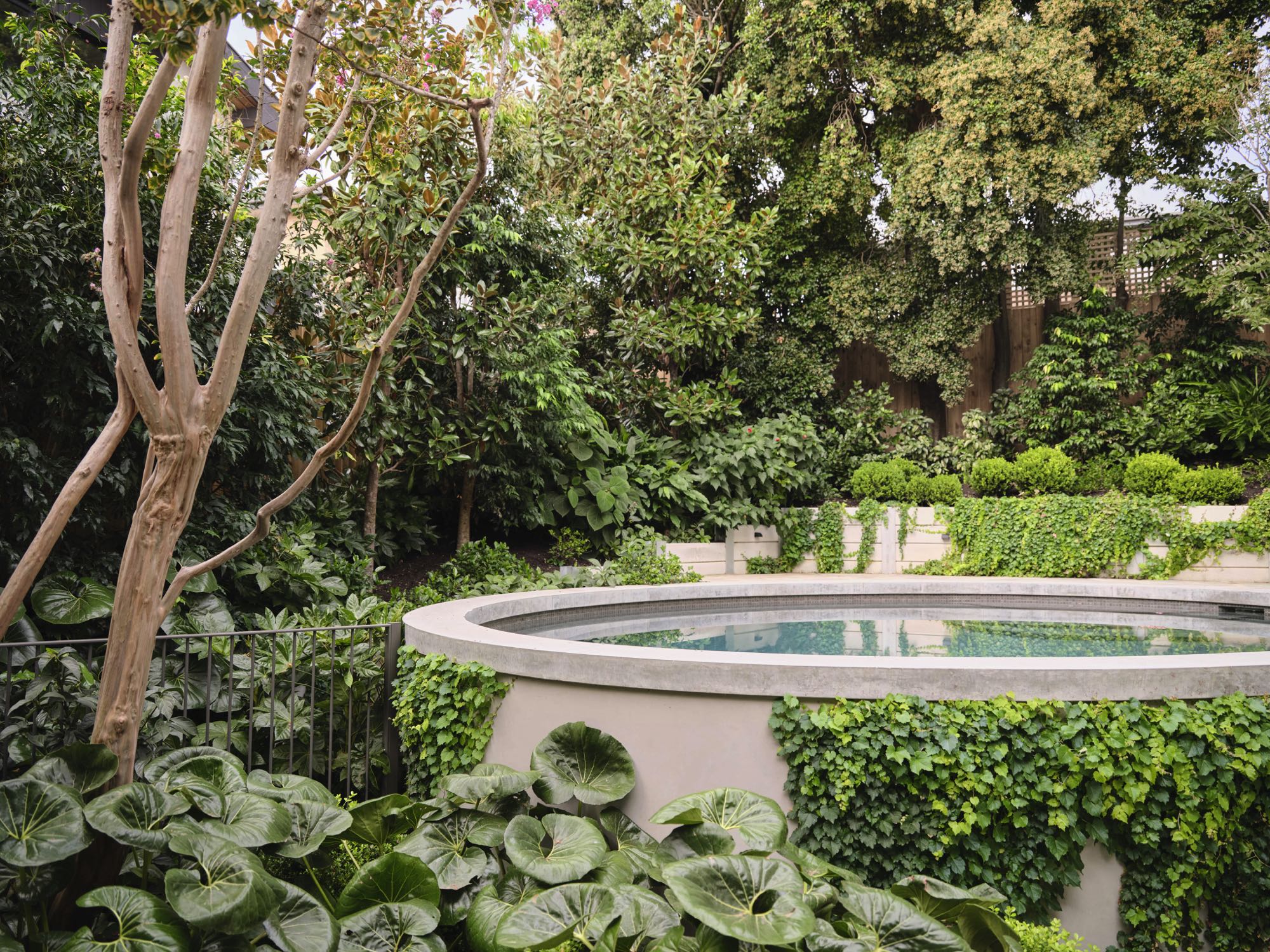 250328_MylesBaldwin_Fairview_139