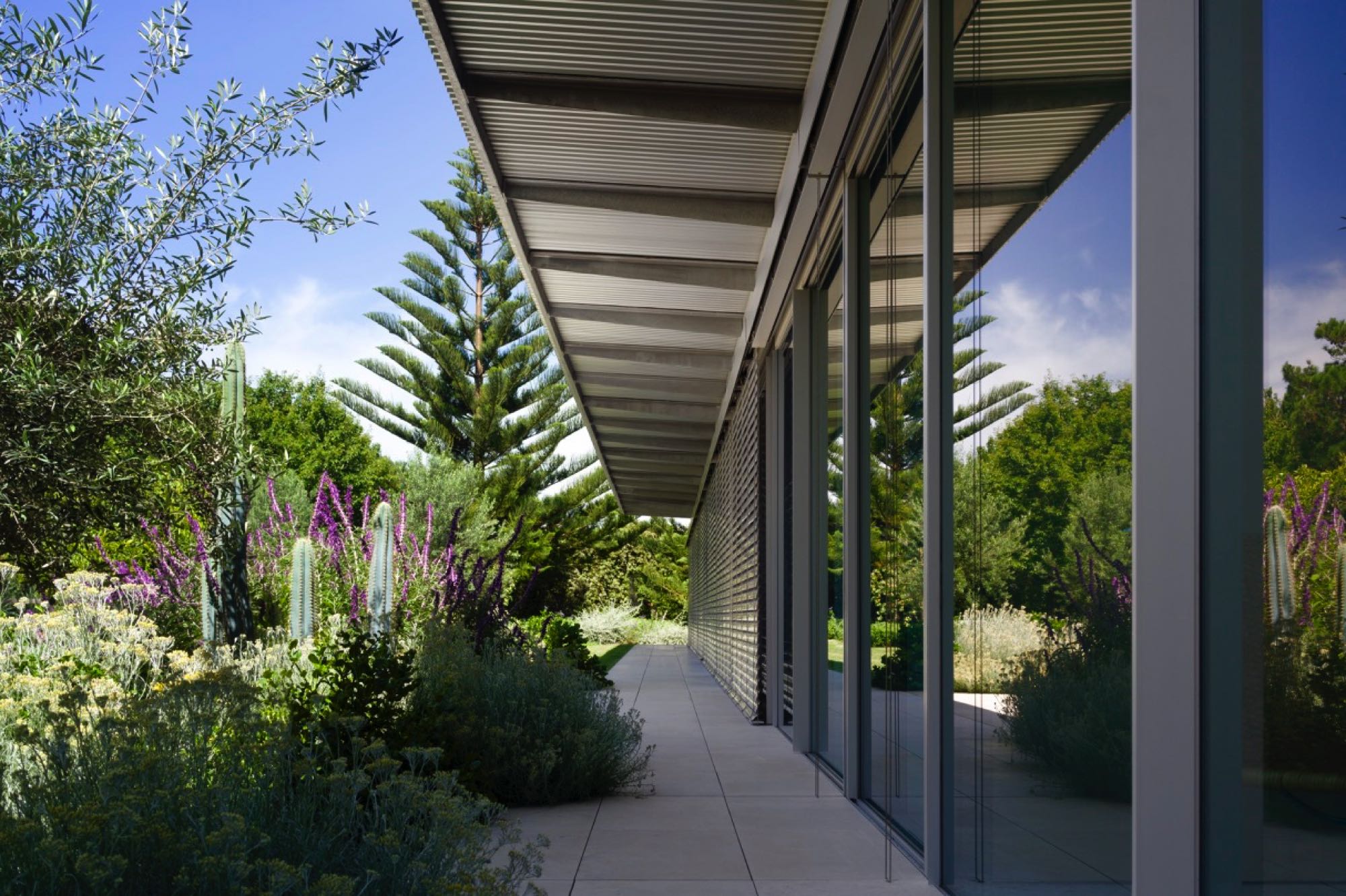 Tobias Partners Tilba Pavilion 00037 V2 LR