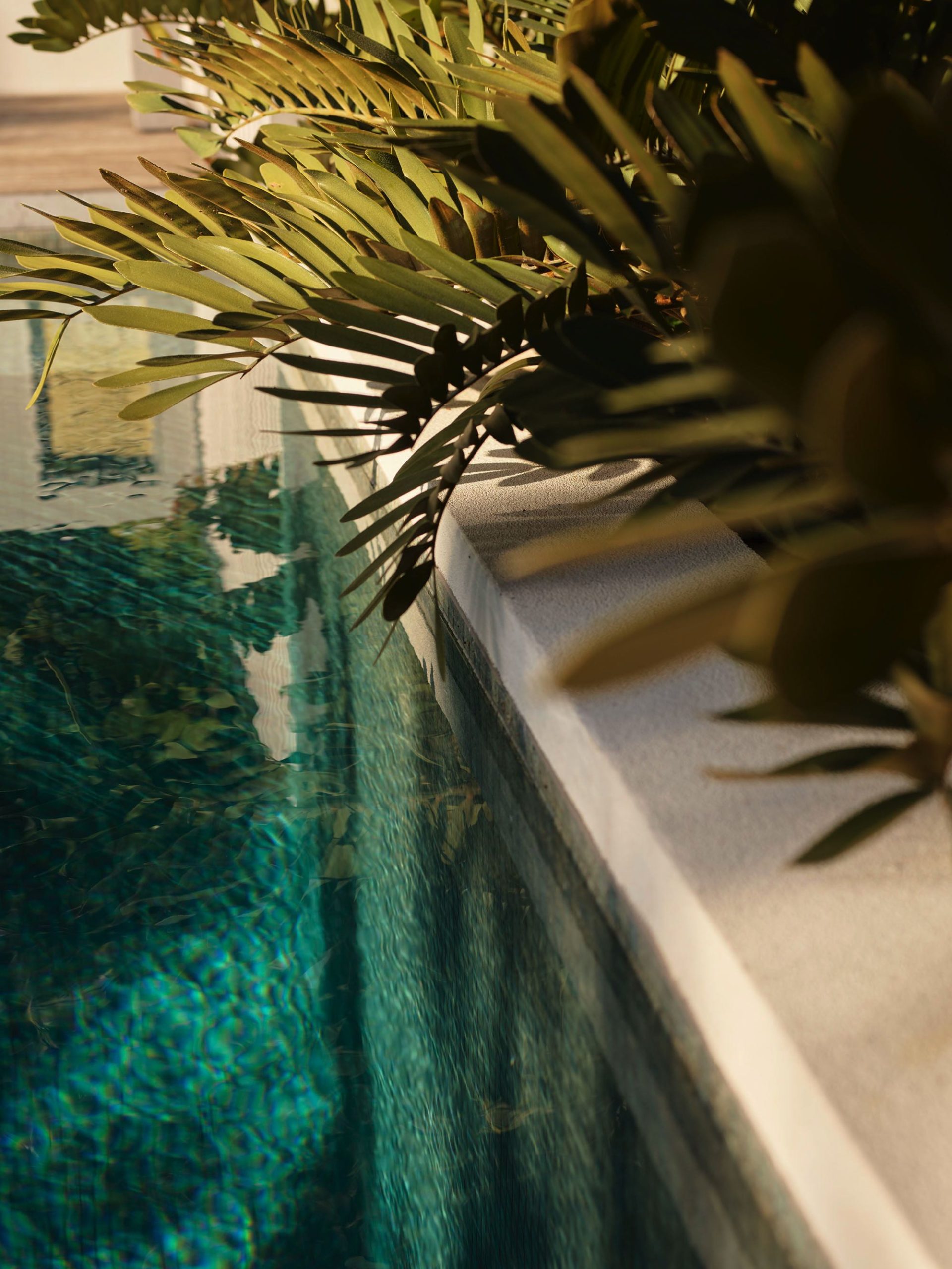 Tobias_Partners_The_Crescent_Vaucluse_100523_281663