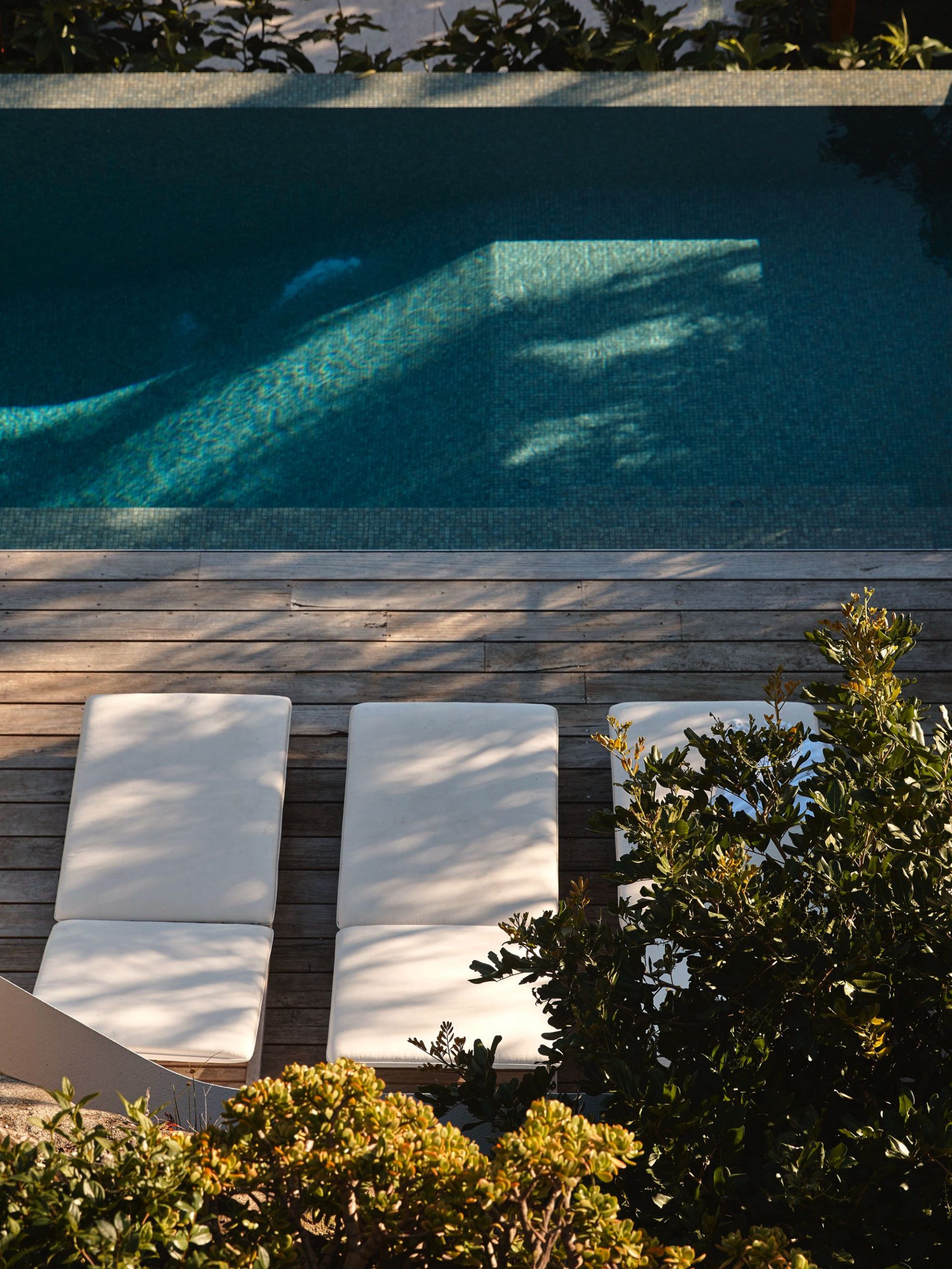 Tobias_Partners_The_Crescent_Vaucluse_100523_281873